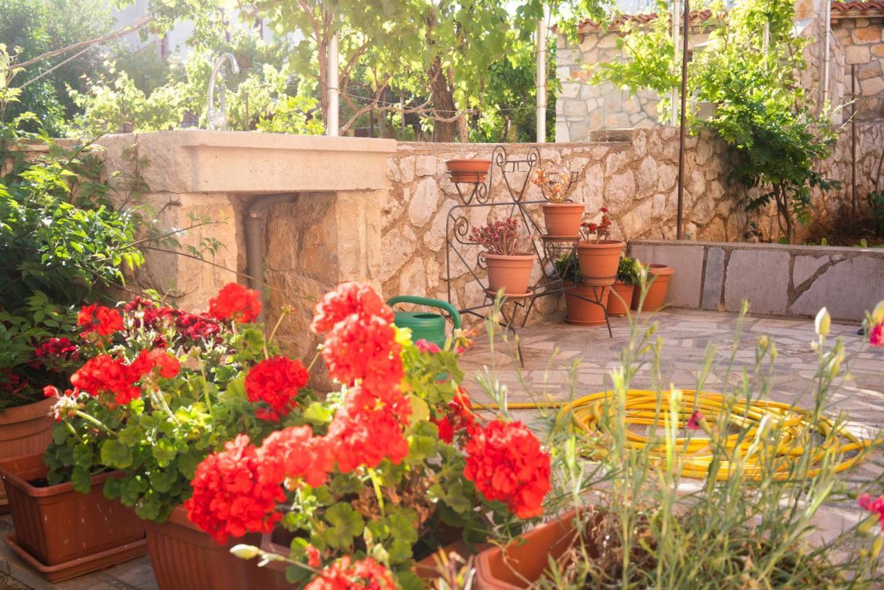 Apartments Sanja Cres Εξωτερικό φωτογραφία